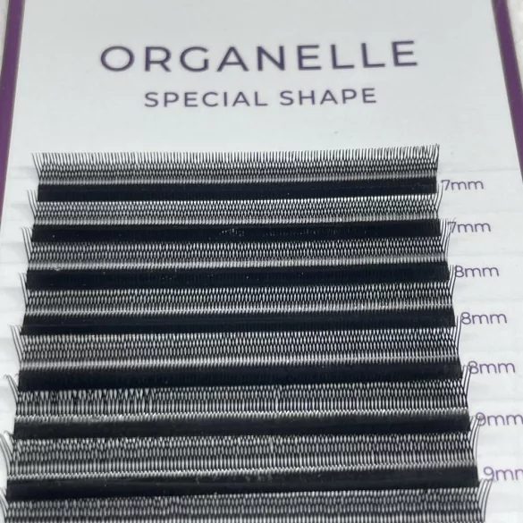 Promade 2D Special Shape Type U