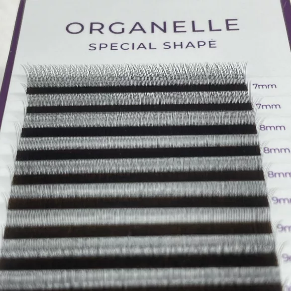 Promade 2D Special Shape Type Y