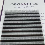 Promade 2D Special Shape Type Y