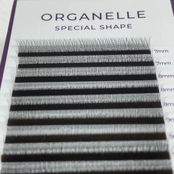 Promade 2D Special Shape Type Y