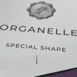 Promade 3D Special Shape Type W