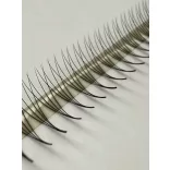 Promade 4D BOLD MAX Strip