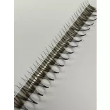 Promade 4D BOLD MAX Strip