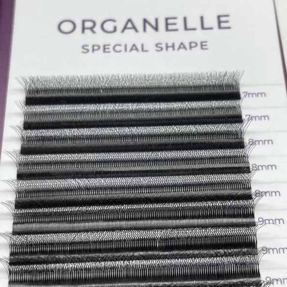 Promade 4D Special Shape Type W