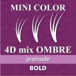 Promade 4D Mix BOLD Mini Color - Ombre Purple