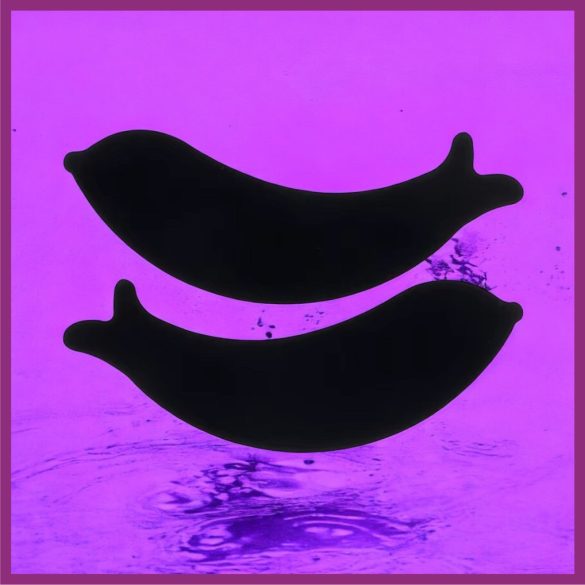 Plasture de silicon pentru ochi